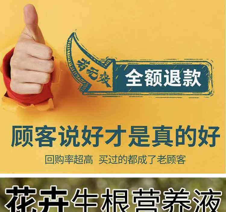 04543b13-6e6f-41f3-bd07-d4933dceb542.jpe