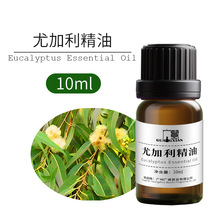 供应尤加利单方精油纯植物萃取美容院香薰扩香芳疗原料批发桉叶油