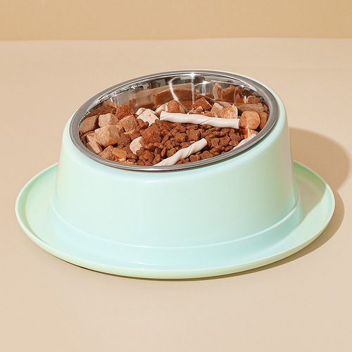 Wholesale New Macaron Color 15-degree Tilted Stainless Steel Dog Bowl for Protecting Spine, Cat Dining Utensil, Pet Supplies