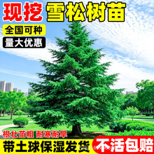 �ɰؘ����ļ�����ؘ����؂Ȱش�̖�����·�G���׻���B�A���ɘ�