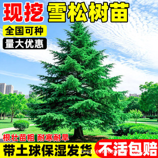 �ɰؘ����ļ�����ؘ����؂Ȱش�̖�����·�G���׻���B�A���ɘ�