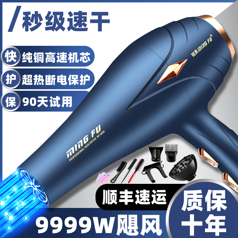 Hair Salon Hair Dryer Barber Shop High-Power Household Negative Ion Hair Care Quick-Drying Three-Plug Hot and Cold Air Dryer