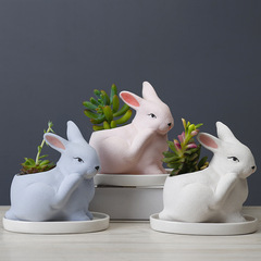 Factory Wholesale Cartoon Animal Ceramic Planter Simple Cute Succulent Planter Creative Home Garden Plant Pot