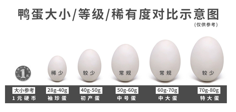 详情-鸭蛋大小对比图.jpg