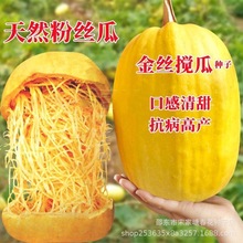 ��z���ϷN���ļ��߲˷N����Ȼ�۽z�ϹϽ�z�ϠI�B�S���ó�