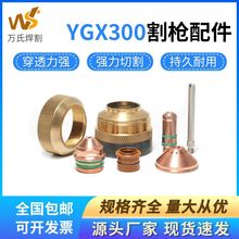 YGX300�������Զ���ǹ�缫YGX330301���챣��ñ��о���ԭ��