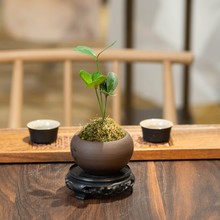 �~ǧ�~ī�����F��̦�\�����С�Gֲ����ʽ�U��