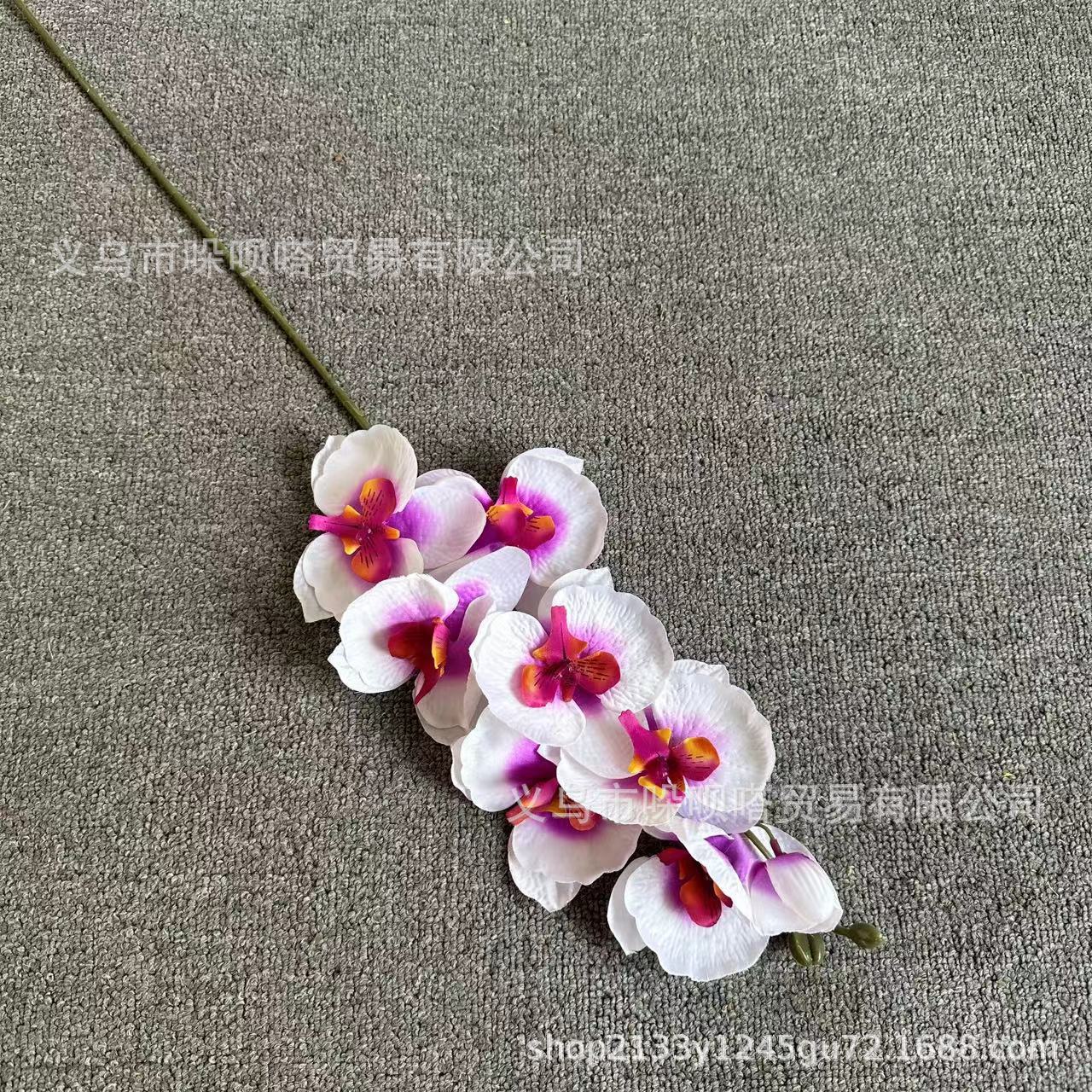 8 실크 호접란-보라색 하트 흰색