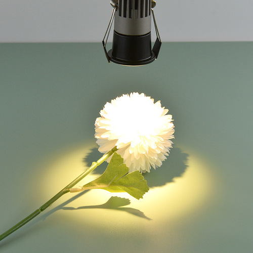 led3W5W small spotlight full of stars in the living room bedroom cob ceiling light narrow edge deep anti-glare opening 35mm wine cabinet light