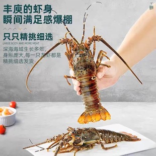 �|ɽ�u���С���������r�\�����������r�����t��ȱ���ك��S��ֱ��