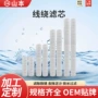 定制电镀线绕大流量滤芯