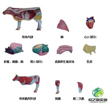 ţ����ģ�� ţ����ģ�� ������K����ģ�� ����̌Wģ��