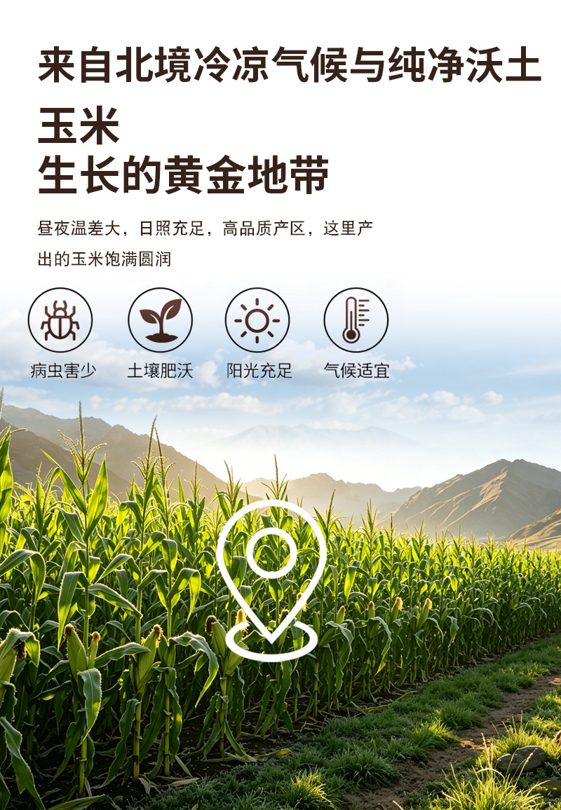 Puffed Corn Powder Yu Mi Fen Zea mays Bulk Wholesale Food Grade Cooked Corn Flour 500g preparation