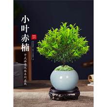С�~����辰�Ϙ�ֲ���k���҃ȾGֲ�����̨���B��̴�����z�ľ