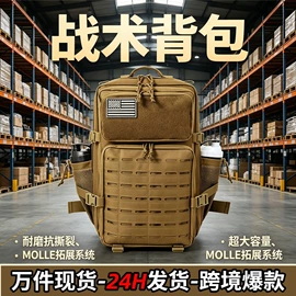 登山、徒步包;户外迷彩;运动腰包