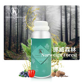 挪威森林罗马假日香薰精油 酒店名宿商场清香型扩香机香薰补充液
