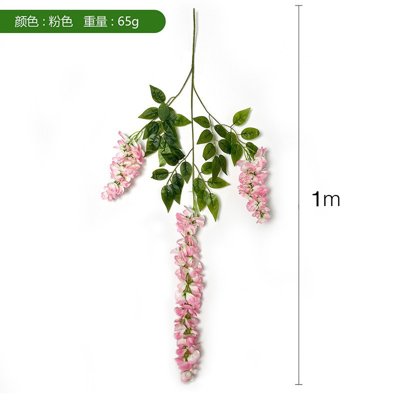 Rosa mejorado de tres puntas (Abel Wisteria)