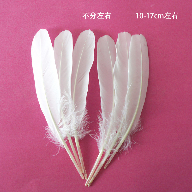 SKU-27-23号小窝翎 10-17cm白色50只.jpg