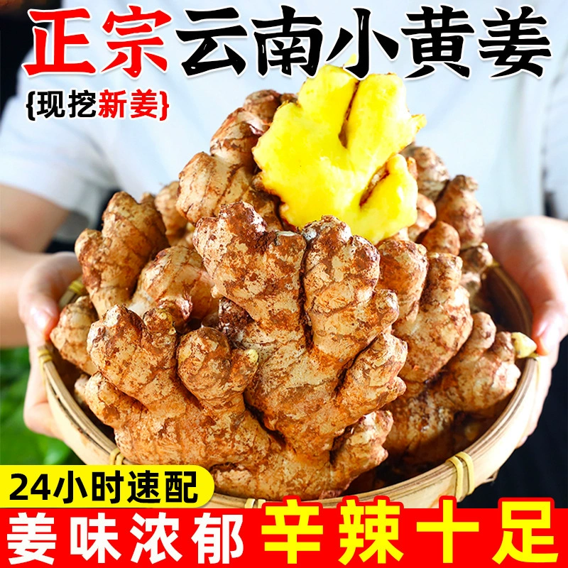 Yunnan New Small Turmeric, Old Ginger, Fresh Turmeric, Soil Ginger, Freshly Dug Ginger, Young Ginger, Fresh Ginger, Young Ginger 5kg Free Shipping