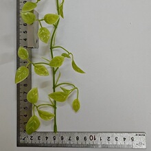 SֱN¿~Gֲ淬~t~@ˇ[