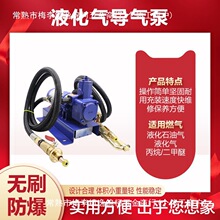 12v液化气泵倒气泵24伏丙烷充气泵车载小型气泵220v液化气导气泵