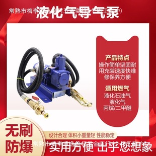 12v liquefied gas pump air pump 24 volt propane air pump vehicle-mounted small air pump 220v liquefied gas pilot air pump