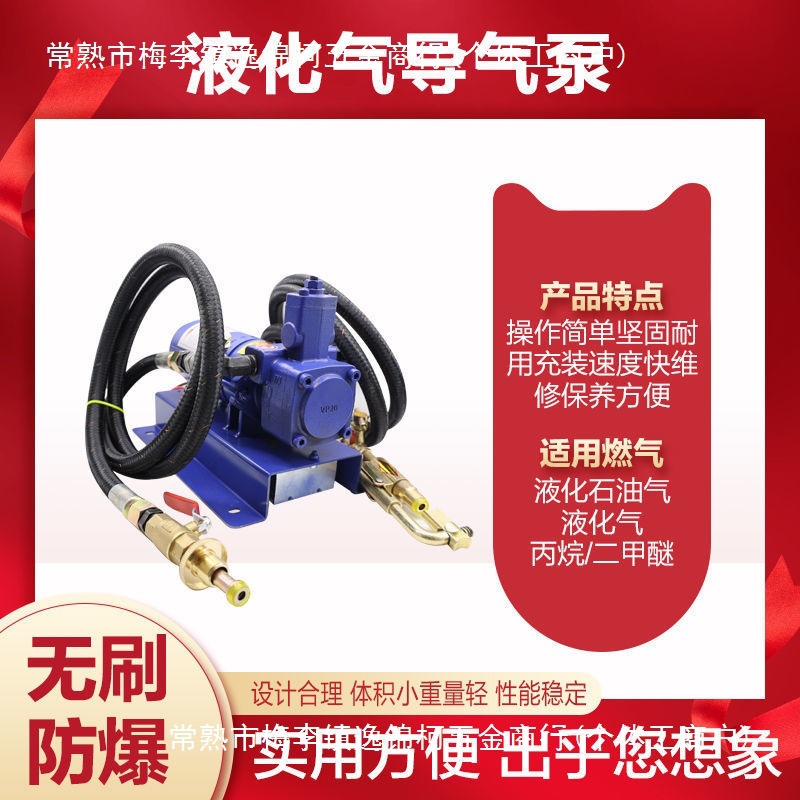 12v液化气泵倒气泵24伏丙烷充气泵车载小型气泵220v液化气导气泵