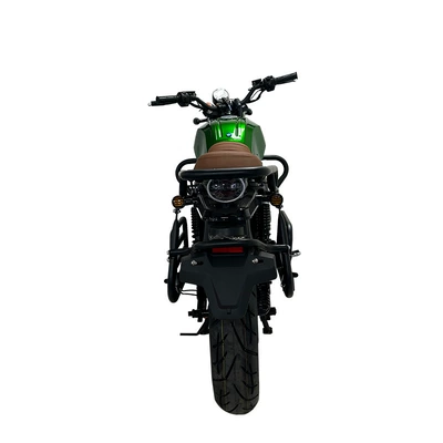 Elektrikli motosikletlər D300 for Overseas Commuting, High-Power