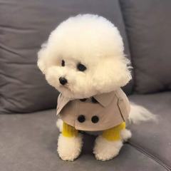 宠物四季款英伦风新款口水巾围脖中小型犬绅士斗篷披肩