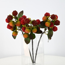 29cm仿真树莓 桑葚果假花浆果幸运果客厅装饰婚庆 拍摄道具跨境