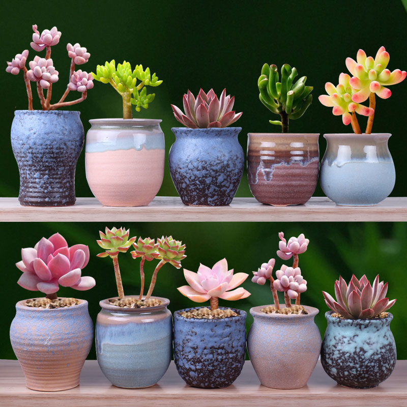 Succulent Flower Pot Ceramic Indoor Personalized Peach Egg Control Pot Korean Simple Stoneware Old Pile Special Clearance Free Shipping