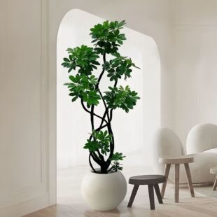 ���_ľ�͏d�������k���҃�����;Gֲ��������ľ��ؑ����ļ�����