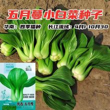 Сײ˷N˷N˷N~ͺļ߲˷N