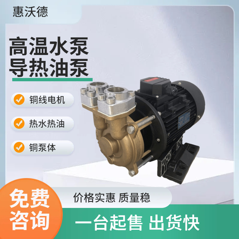供应2.5kw热油泵WD-33-200铜叶轮耐高温导热油循环泵380V注塑机泵