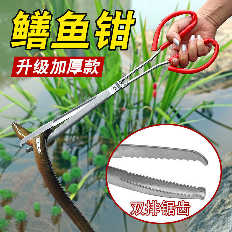 Monopterus Albus clip thickened lengthened non-slip eel clip stainless steel crab Loach pliers to catch long fish catcher