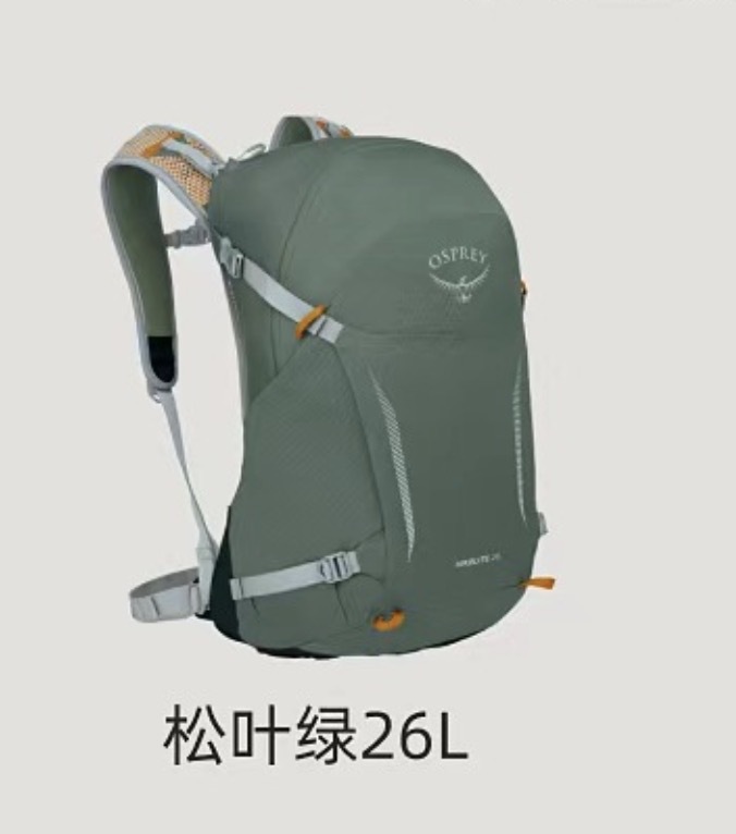 솔잎 녹색