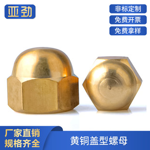 �w���~��ĸ�~��ñ�ݽzñ�S�~�w��GB923M3M4M6-M20�͸��g��ĸ