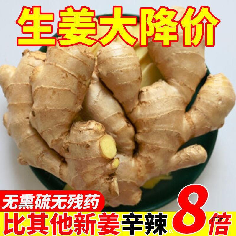 Wholesale Ginger from Yunnan, Fresh and Freshly Dug Young Ginger, Postpartum Ginger, Large Chunks of Fresh Yellow Ginger, Fresh Vegetable Wholesale