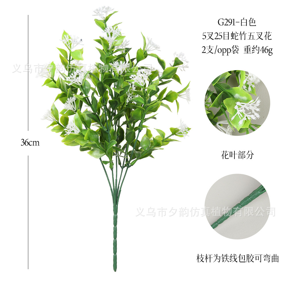 G291-흰색 다섯 갈래 뱀 대나무 다섯 갈래 꽃