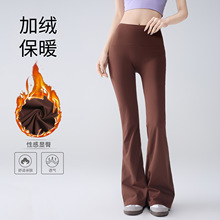 �¿�ӽq�٤����ѝŮ�����@�ݽ����ߏ����\���������⴩�Lѝ