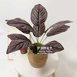 9头仿真绿植软装工程蕨类万年青龟背叶仿真花植物墙配材商场绿化