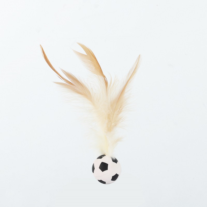 포장 없이 2.5cm [축구공]