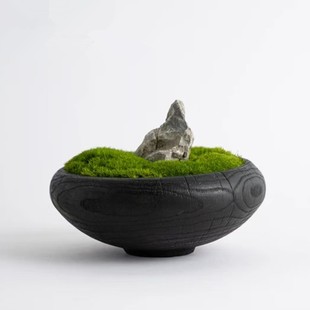 �S���N���ֹ�������ɫ̼��ľ�|�бP�[�Pˮ����ʳ�P�Ӽ��b�����