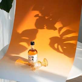 摄影渐变背景纸双面拍摄拍照道具背景板蓝白静物产品不反光背景布