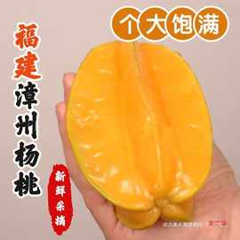 【送酸梅粉】下河杨桃水果新鲜五角星红杨桃2/5斤装新鲜批发