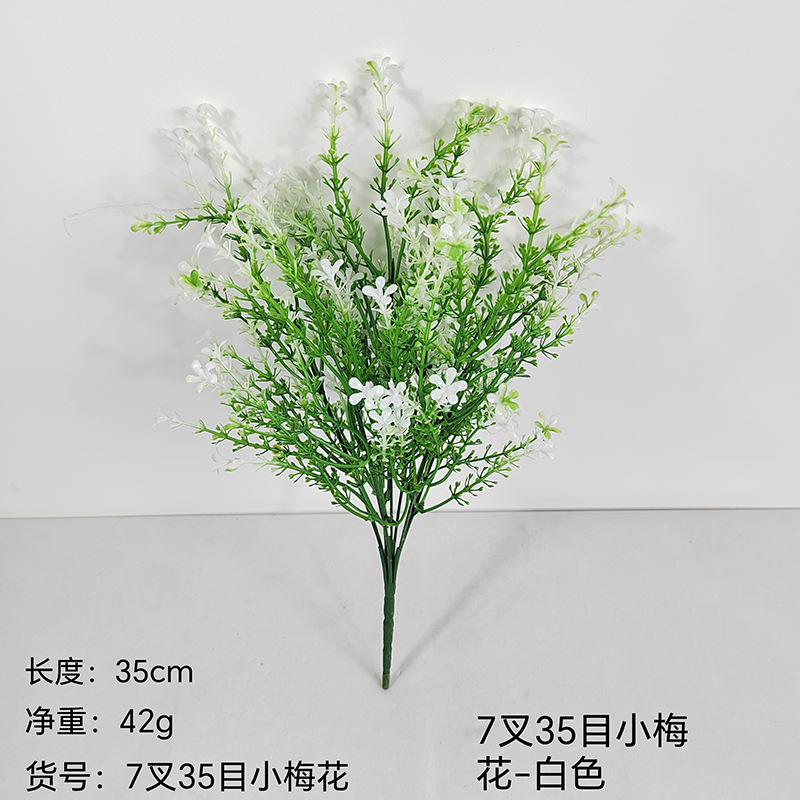 Pluminae blanca 7x35