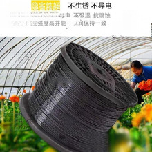 ��䓾�ֱ�NPET�����Bֳ�Ĥ��������Ĥ���r�I���@���ҾW��̫��