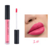 Matte waterproof lip gloss, lipstick, makeup primer, new collection, European style