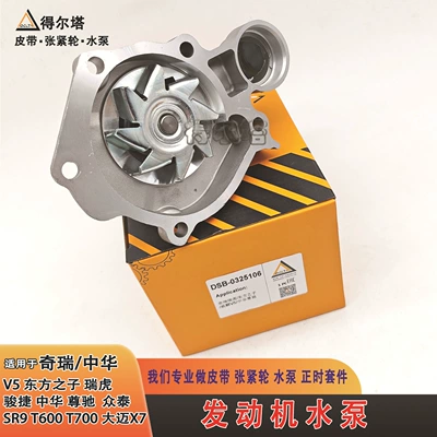 Chery V5 Oriental Son Water pump