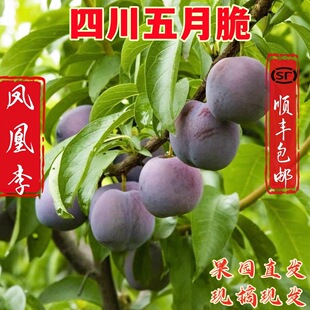 �Ĵ����´�Ó��������r�r��ˮ���������l���]�P�����߅�t����